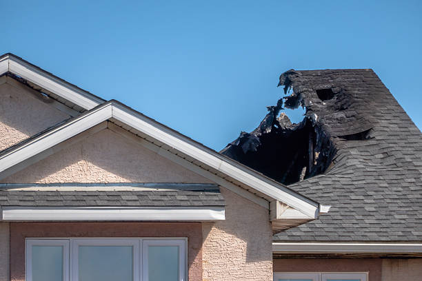 Top rated local Odor Removal specialists in Dublin, VA
